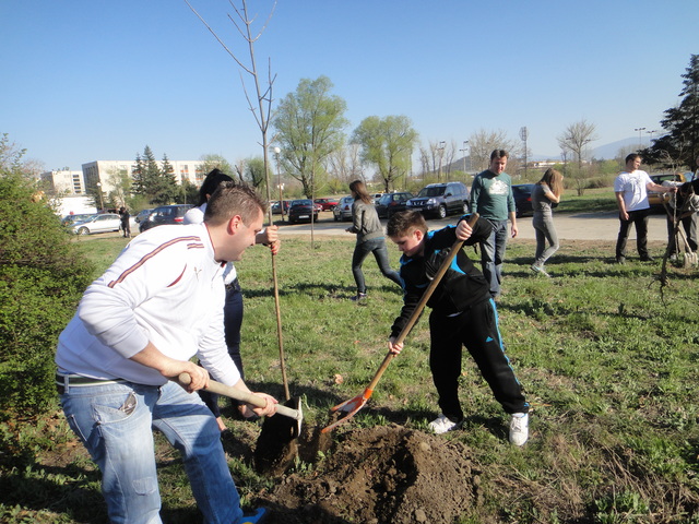 5231c5a952f5c154839020